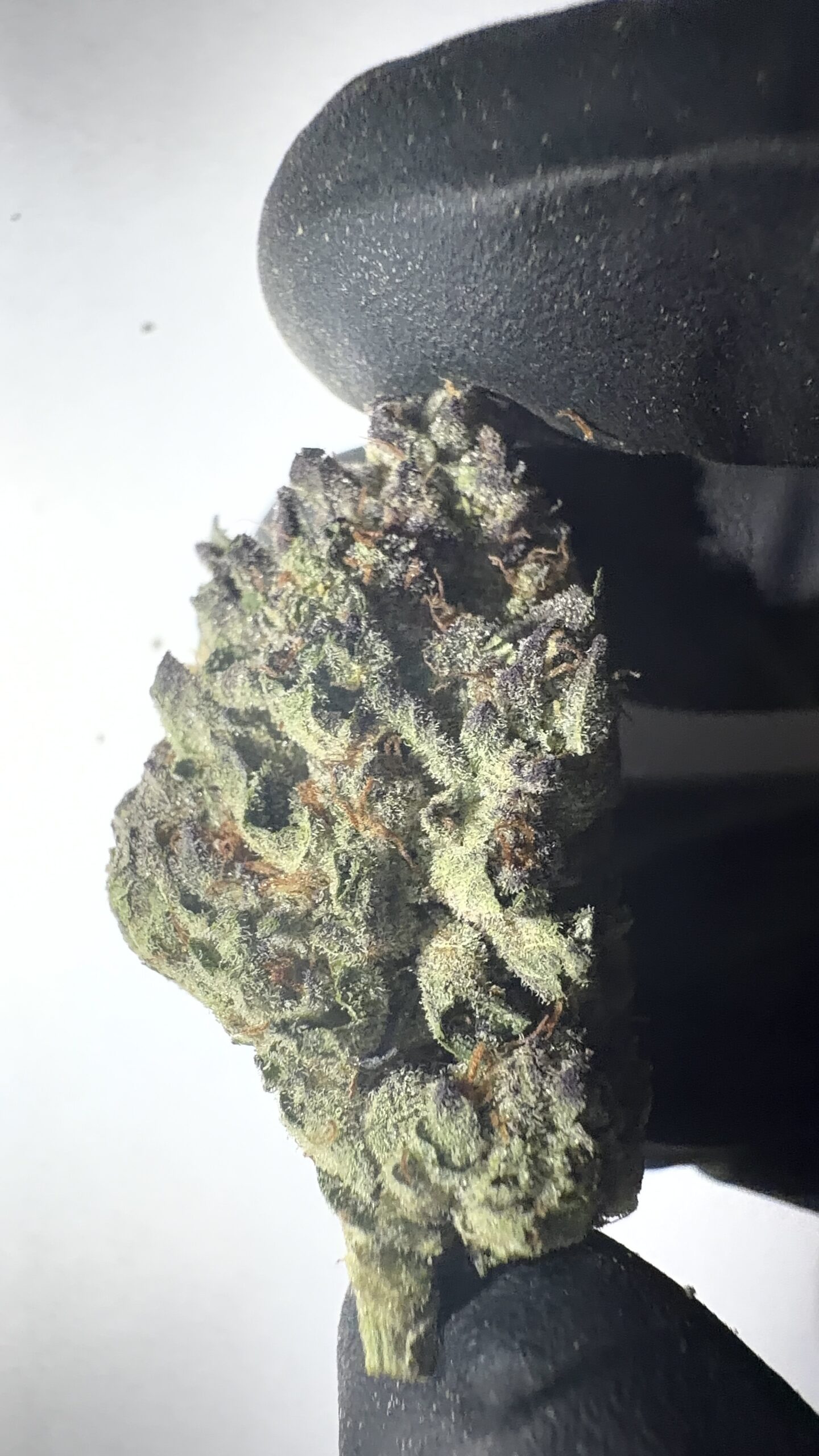 Lava Cake - Light Assist THCA Flower (Hybrid) - Image 3