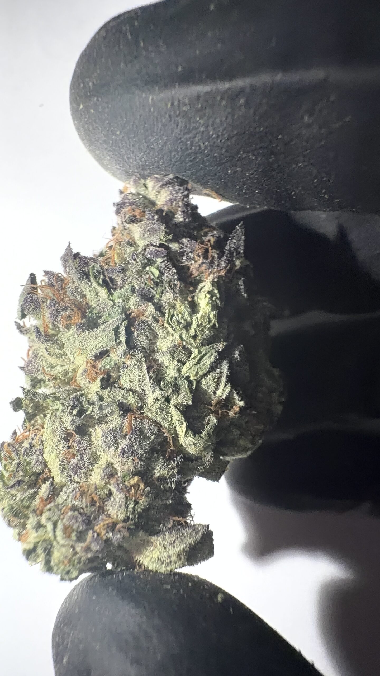 Lava Cake - Light Assist THCA Flower (Hybrid)