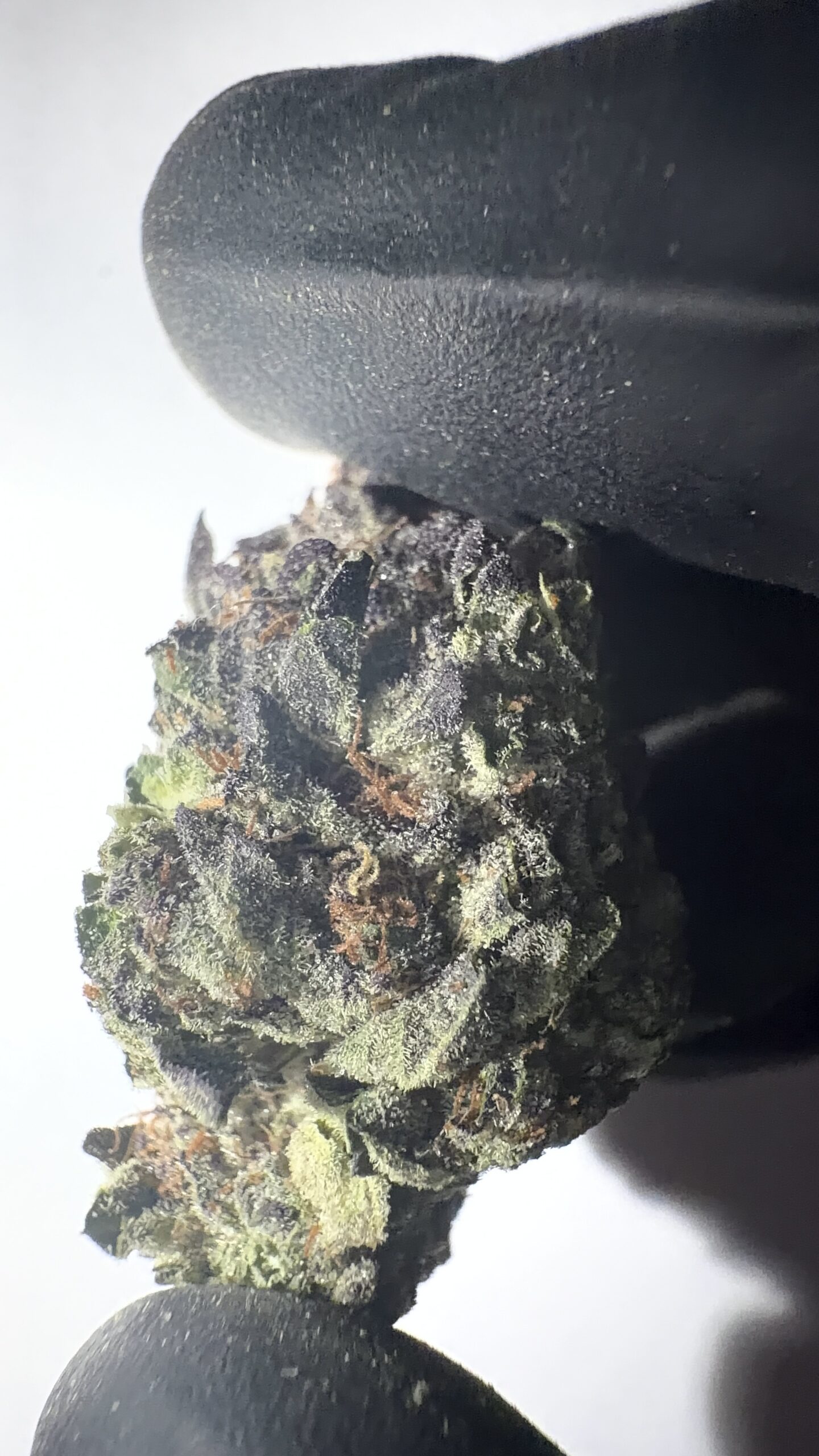 Lava Cake - Light Assist THCA Flower (Hybrid) - Image 6
