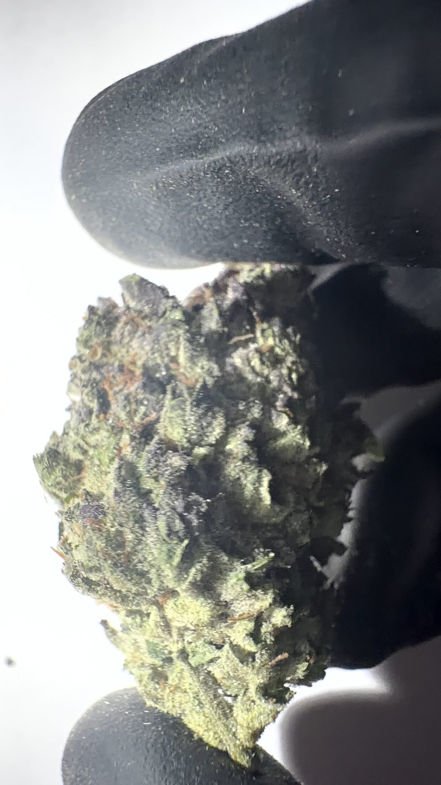 Lava Cake - Light Assist THCA Flower (Hybrid) - Image 4