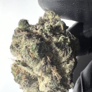 Oreoz - THCA Flower (Indica)