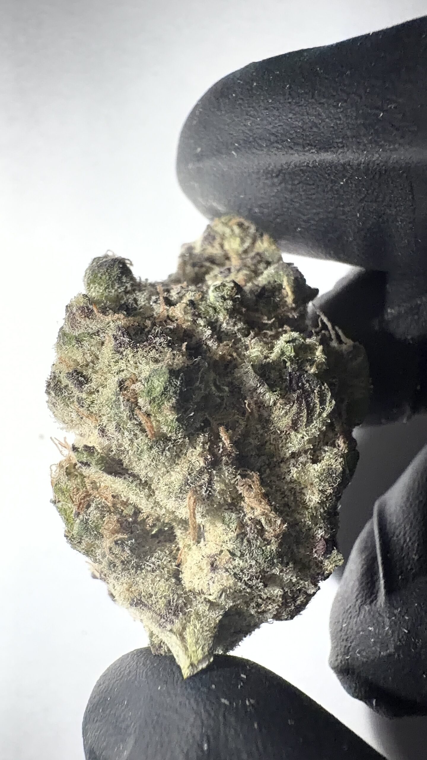 Oreoz - THCA Flower (Indica)