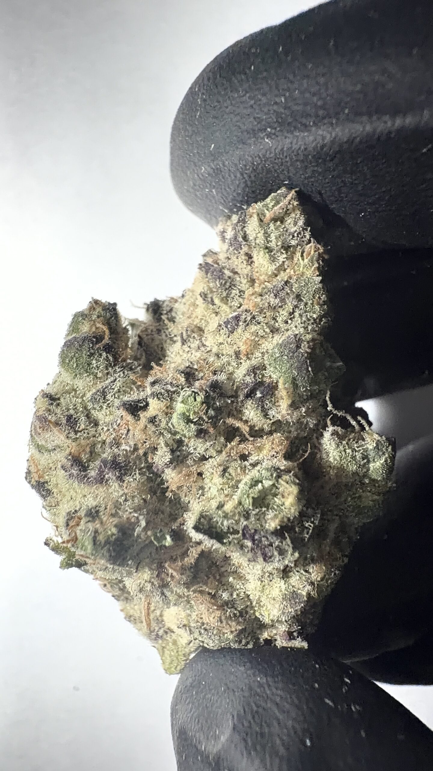 Oreoz - THCA Flower (Indica) - Image 6