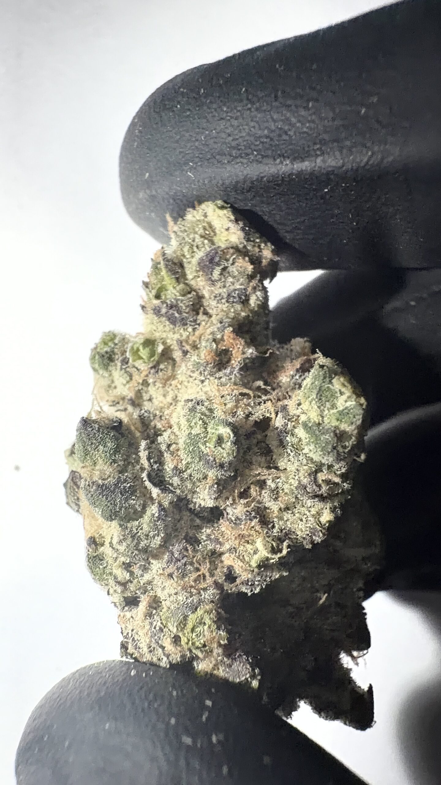 Oreoz - THCA Flower (Indica) - Image 5