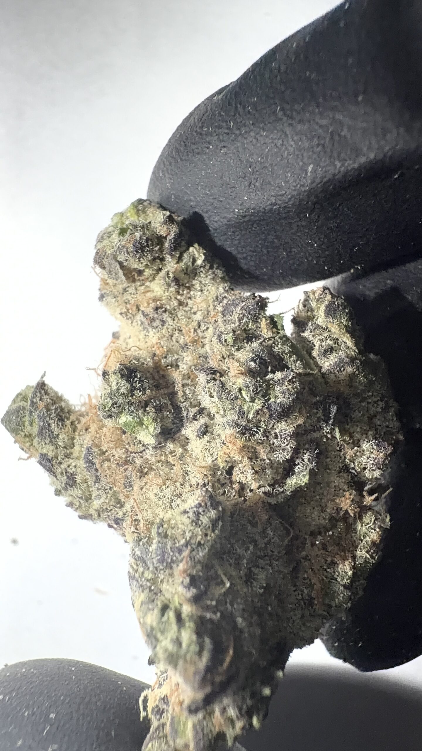 Oreoz - THCA Flower (Indica) - Image 4