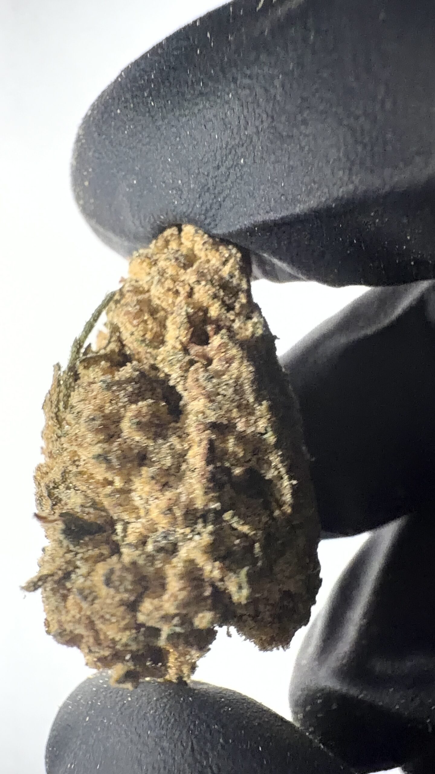 Strawberry Diesel - Delta 8 Flower - Image 4