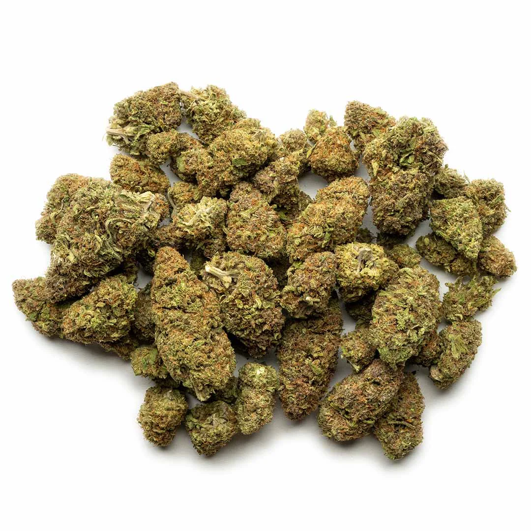 Cream Puff CBD Flower bud second angle