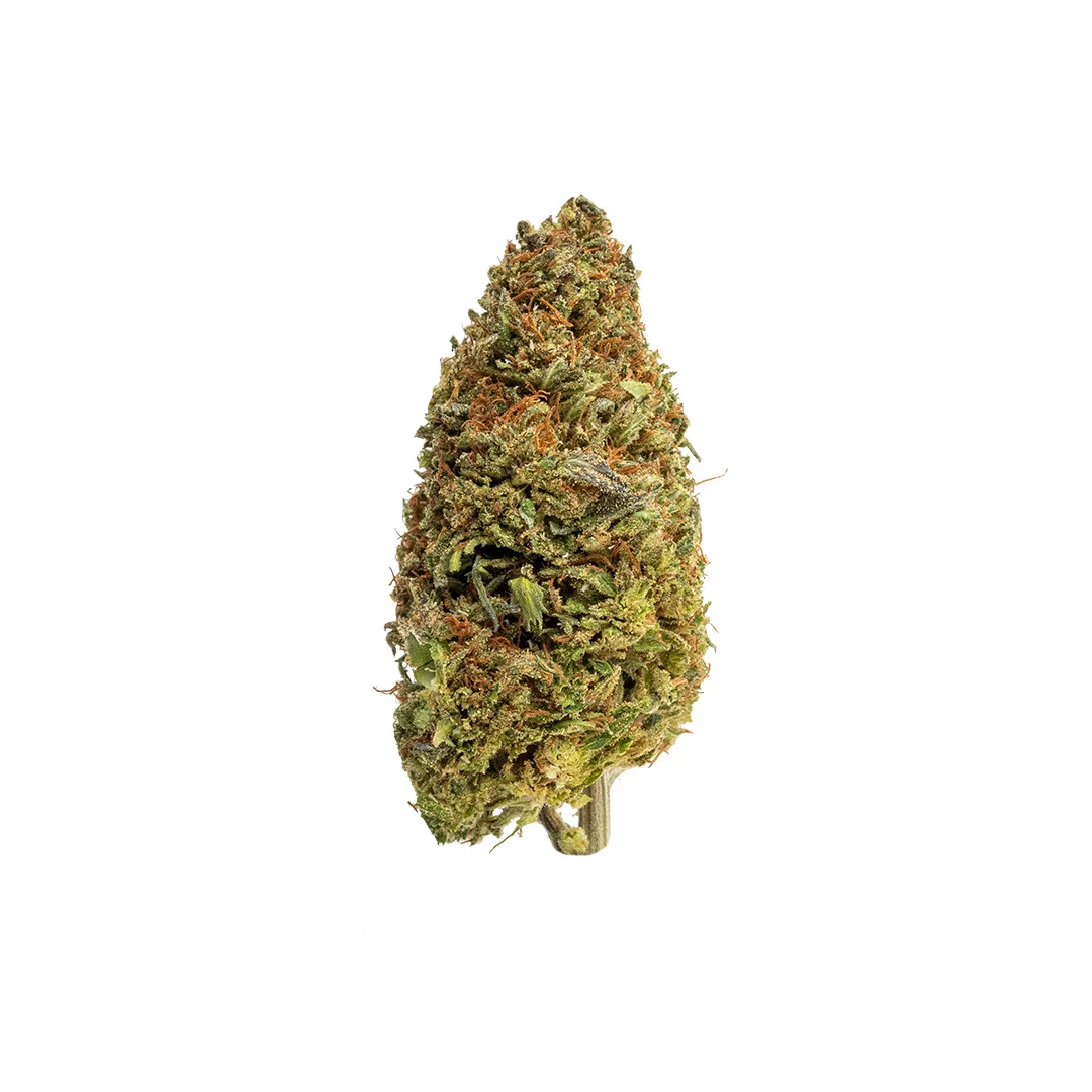 Lemon Flambe CBD Flower sativa hemp flower bud