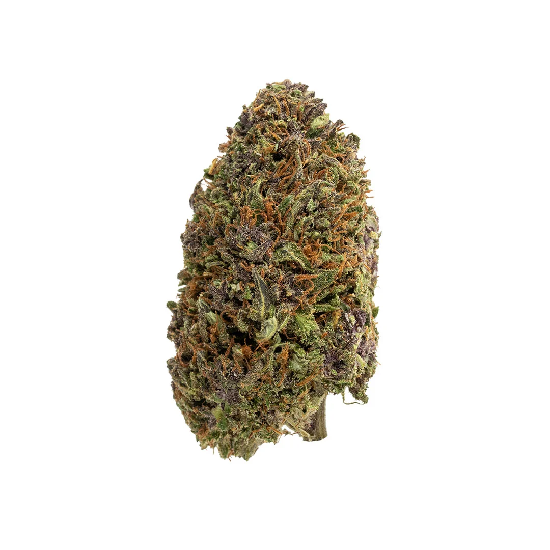 Purple Snowman CBD Flower hybrid hemp flower bud